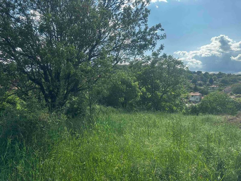 Продава се Парцел в с. Малка Верея, Област Стара Загора - 1045 кв.м за 48 €/кв.м - Снимка #2