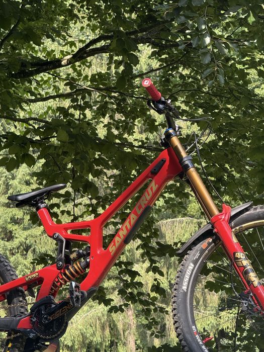 Santa Cruz V10.8 2024 Custom