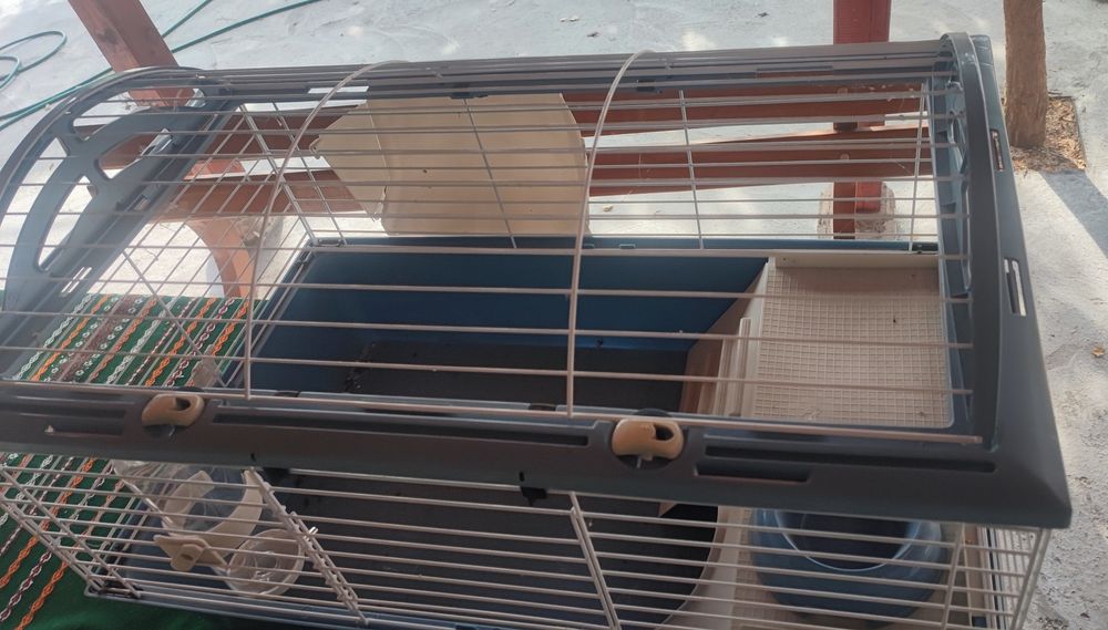 Клетки за зайче и морско свинче