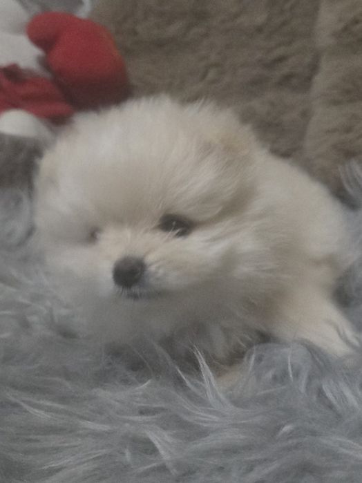 Предлагаю  кукольную мини девочку