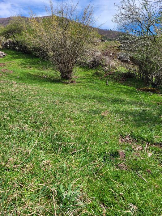 Парцел село Белица