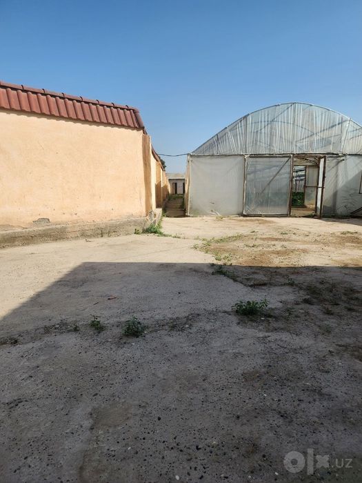 Парник арендага берилади тайор бизнез