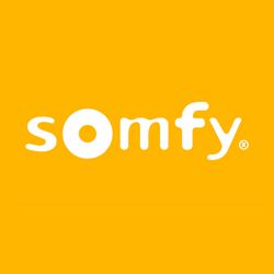 Автоматика для ворот Somfy. (Франция)