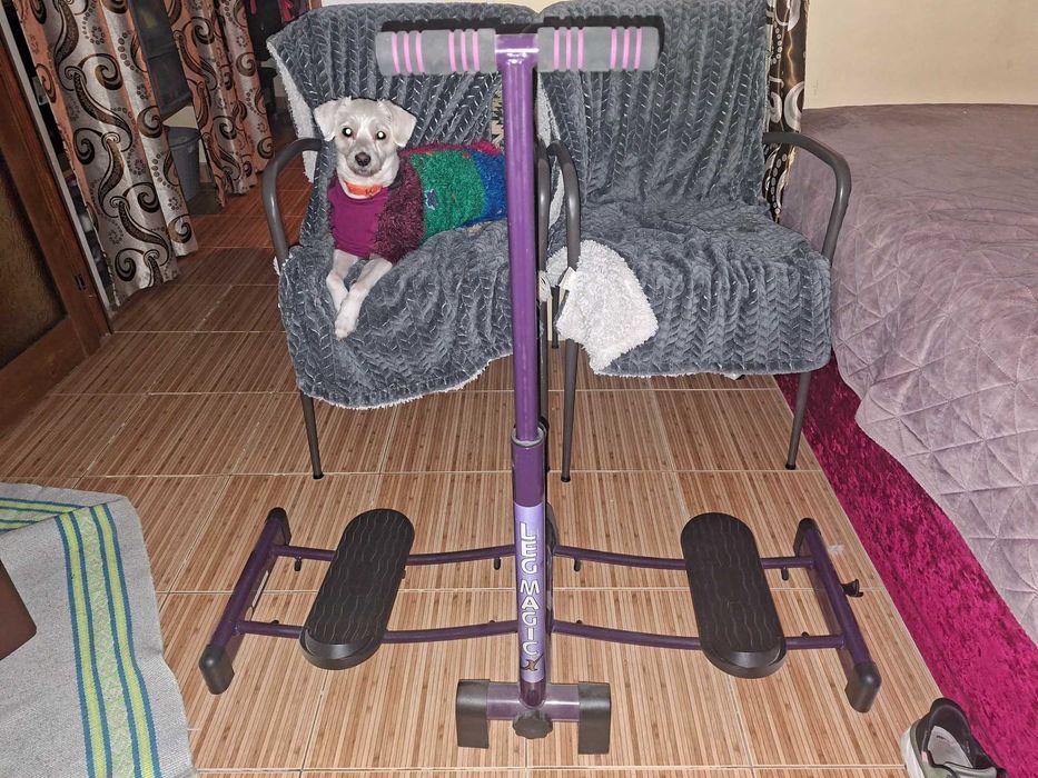 Aparat de fitness LEG MAGIC pentru picioare - pliabil