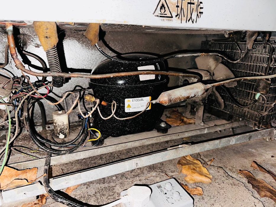 Marazelnik muzlatkich