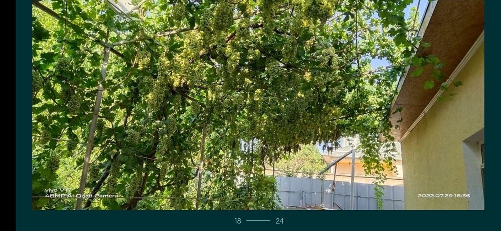 Продам дом. Все условия.