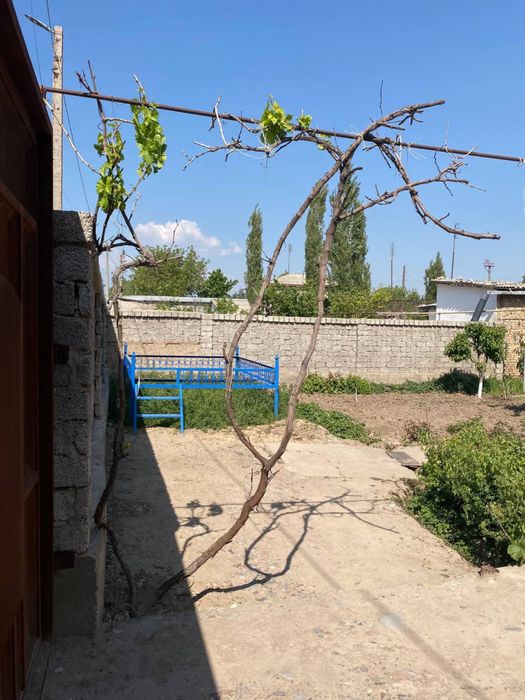 Участка 5 соток