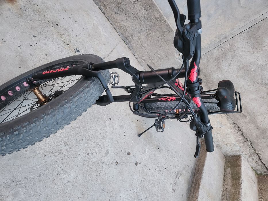 Велосипед 3 вида и канарейка