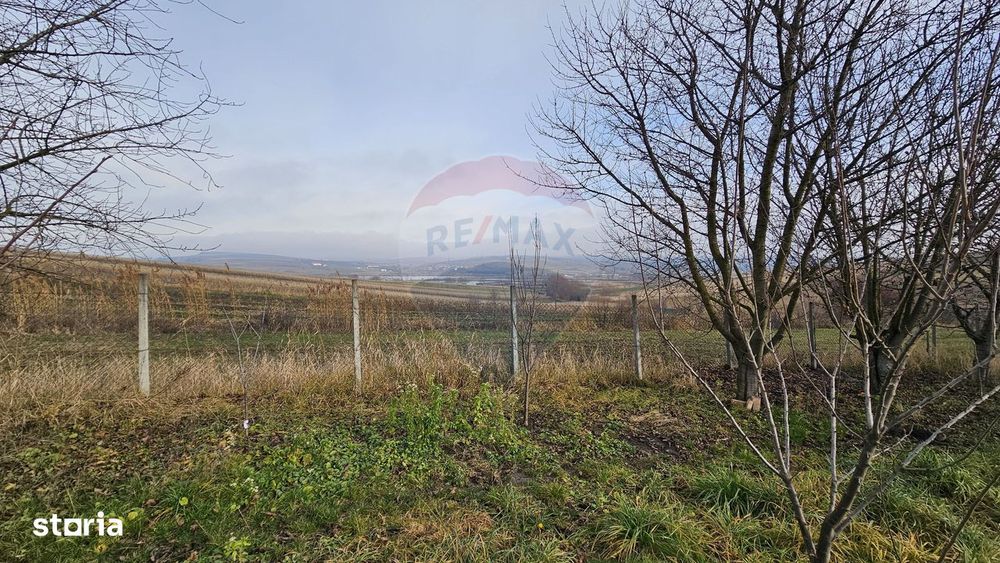 Teren extravilan 10,791mp Falticeni / Strada DJ209A, Opriseni