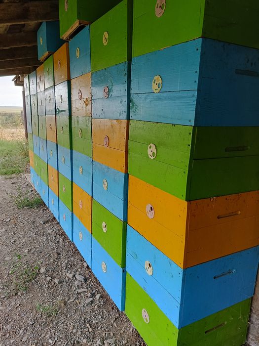 Продам улья сущ.