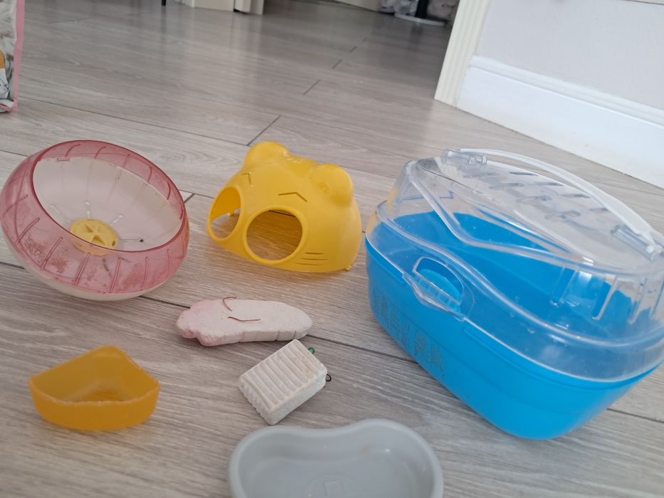 Хомячки все для них.