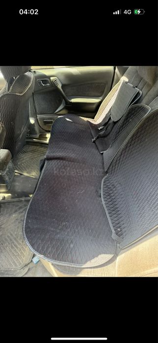 Мютцибици галант