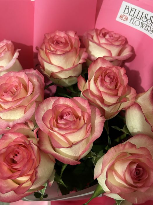 роза 9шт 70см өте әдемі свежий