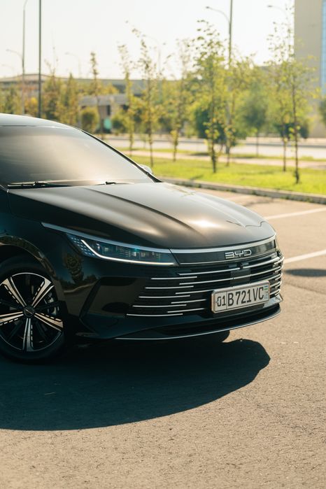 BYD Chazor Champion DM-i 55km Active