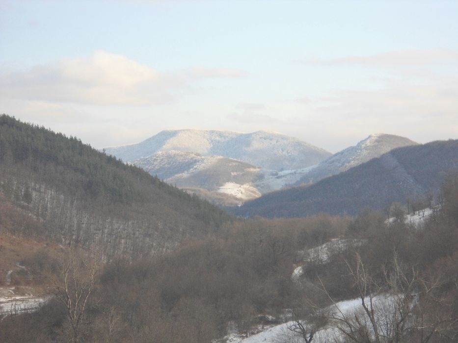 Sony Cyber-Shot W510