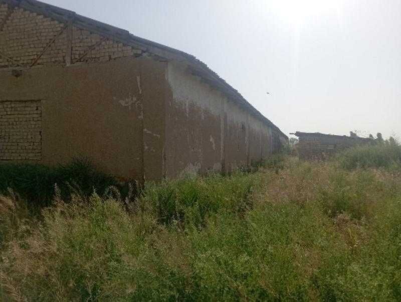 Bino-inshoat (Chorvachilik fermasi)