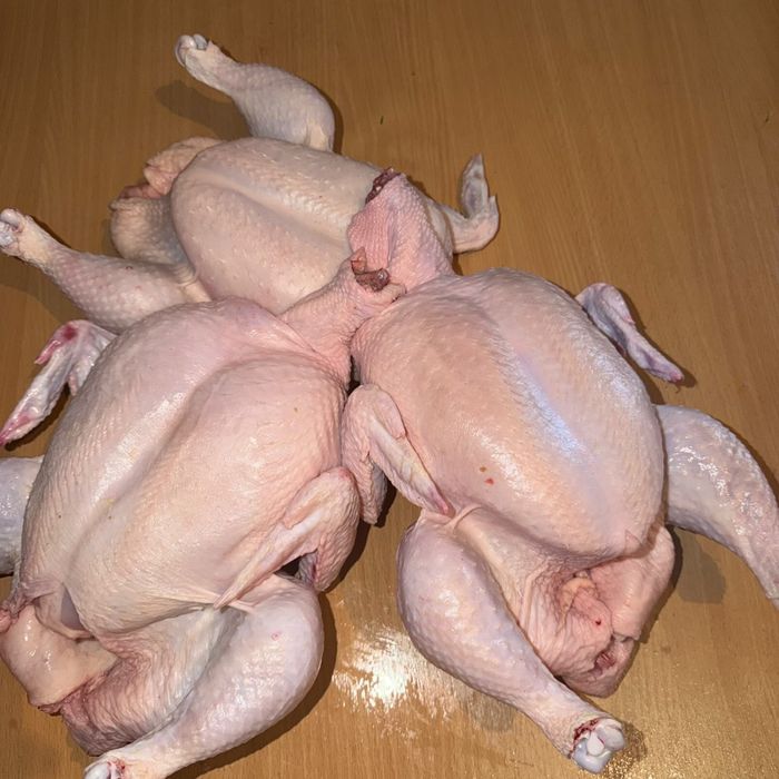 Продам домашнюю курицу