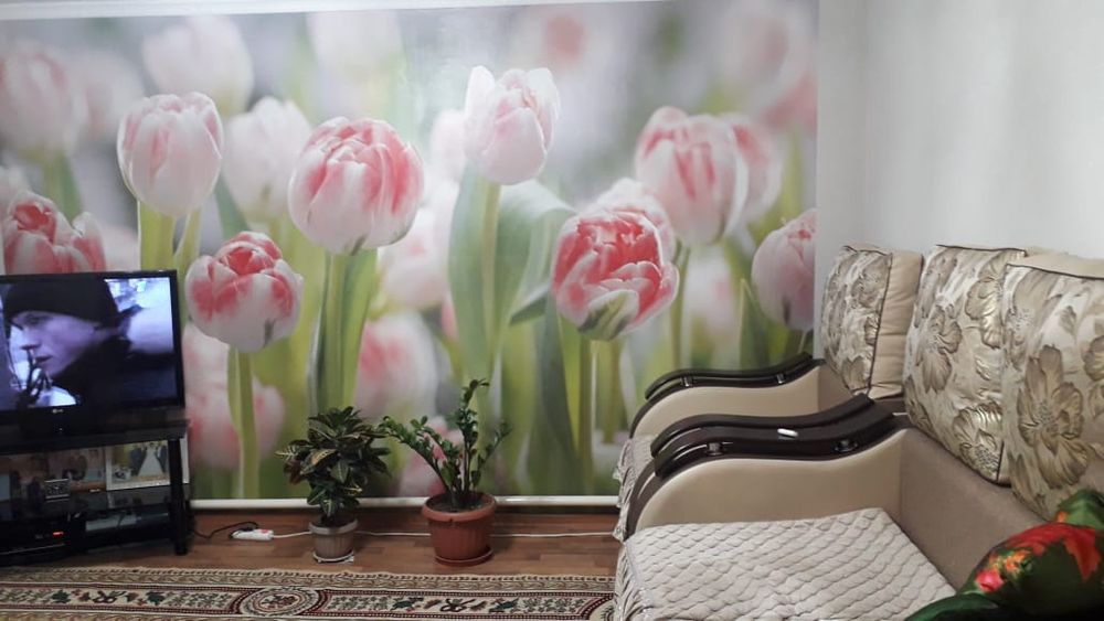 Дом с       участком