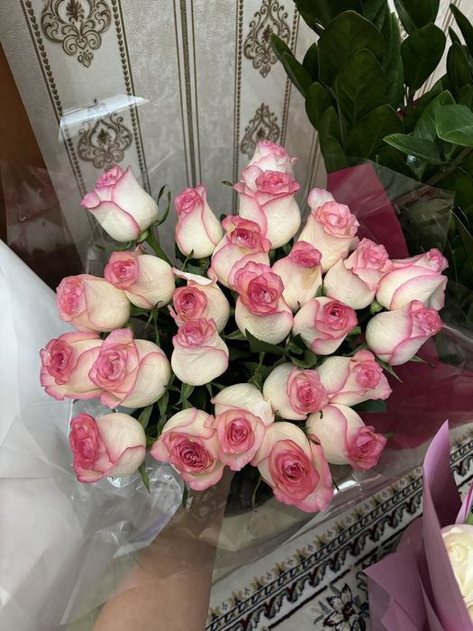 Продам срочно розы