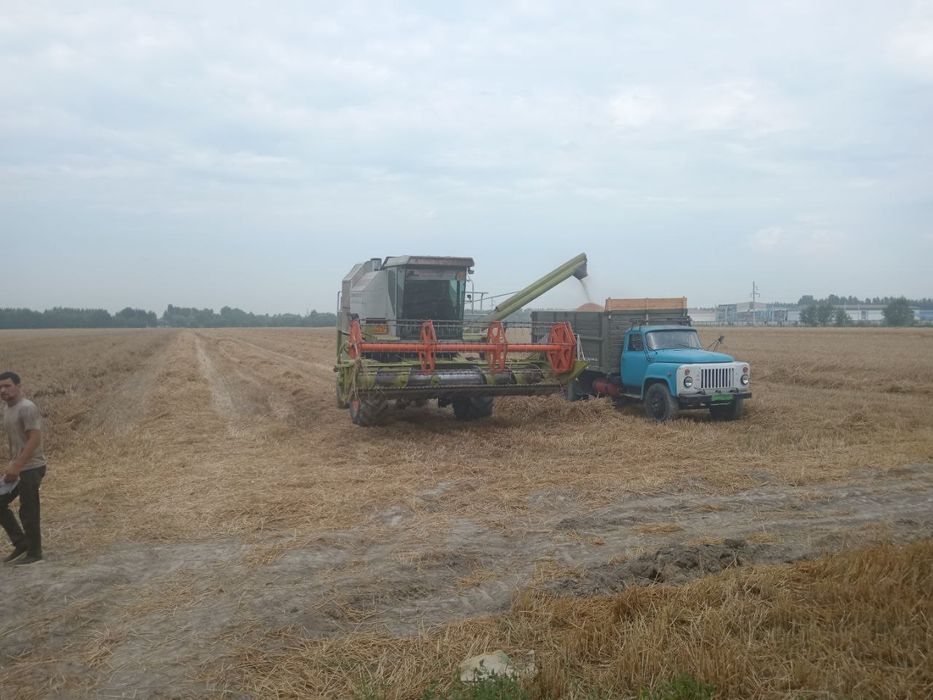 Kanbayin sotiladi xolati yaxshi