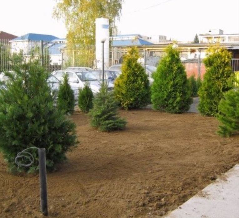 Земя, хумус, почва за озеленяване, градини, парници