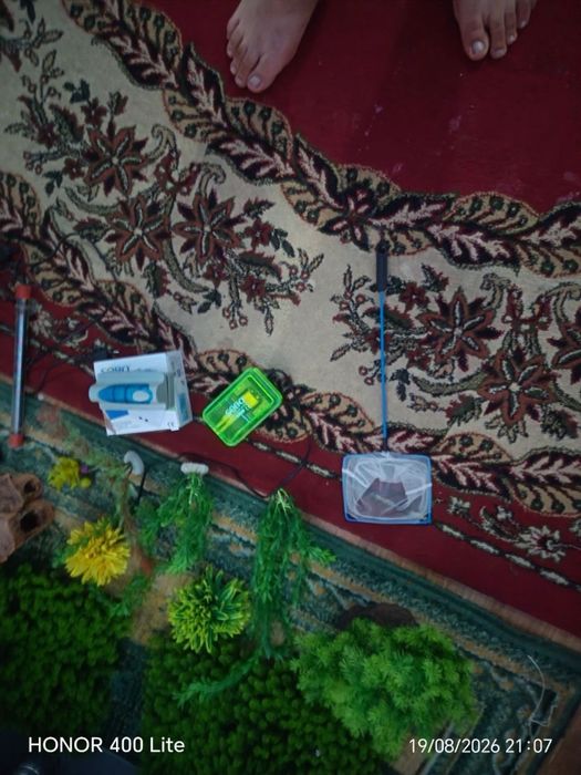 аквариум сотилади баликлари билан 18 та балик бор