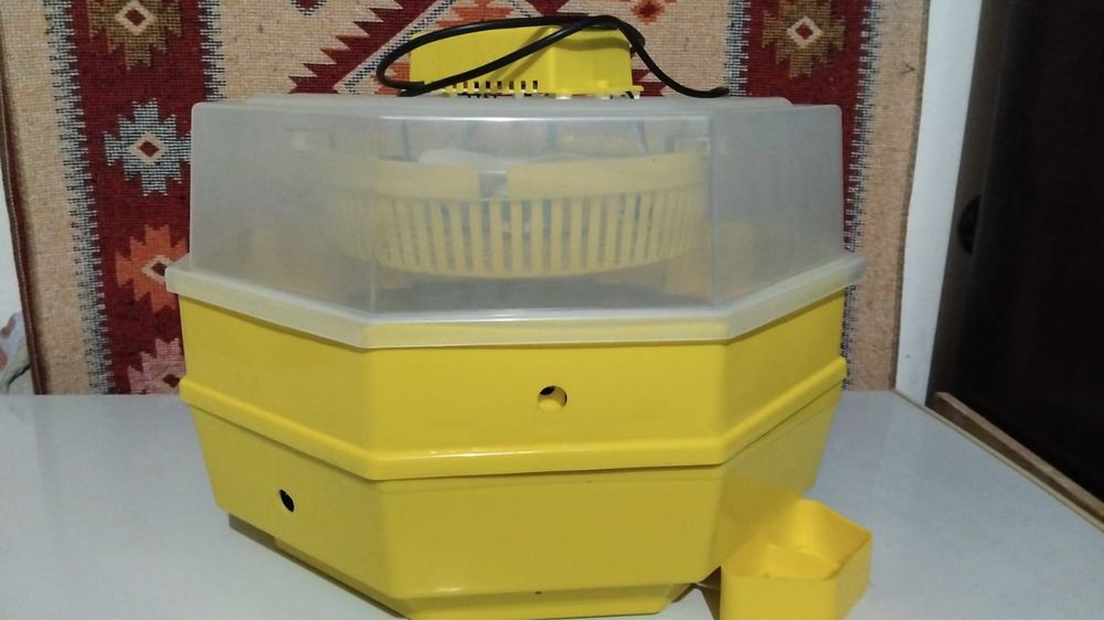 Incubator oua struti