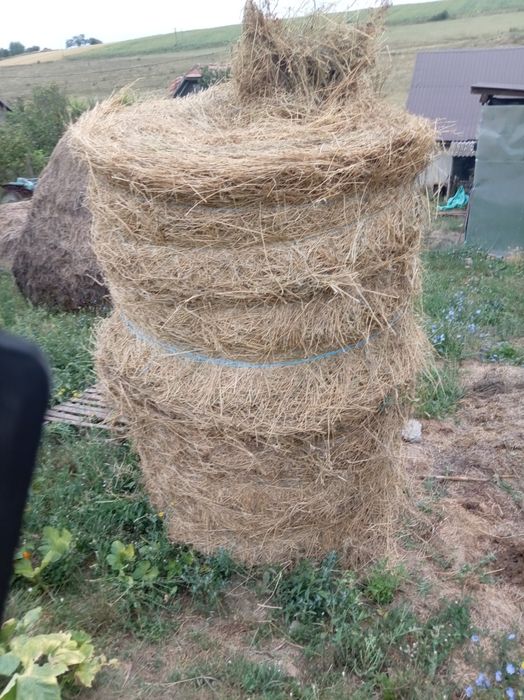 Vind 2 baloti  lucernă