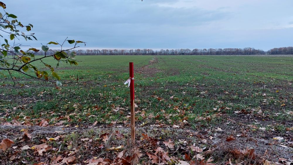 Продава се Земеделски имот в Добрич, Център -  кв.м за 2250 €/дка - Снимка #1