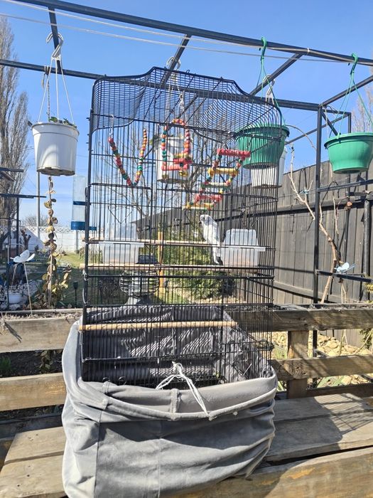 Vand colivie pentru papagali cu papagal inclus