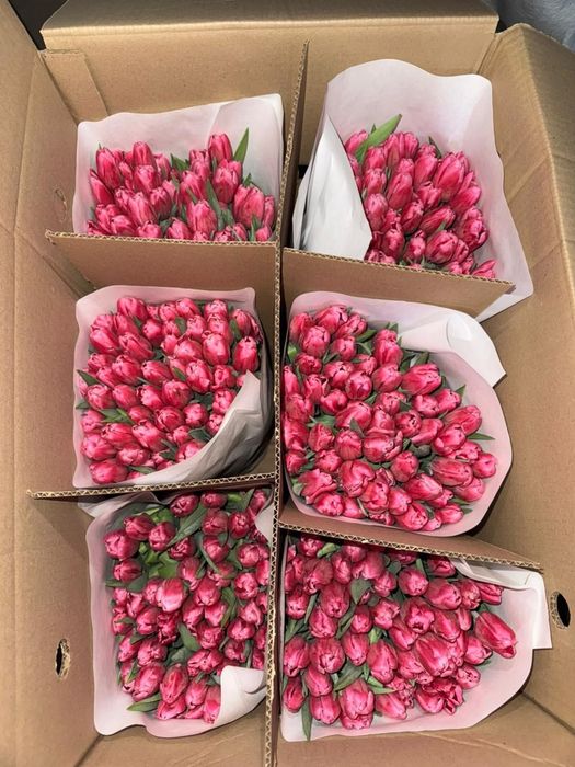 Тюльпаны розы букеты цветы букет цветов