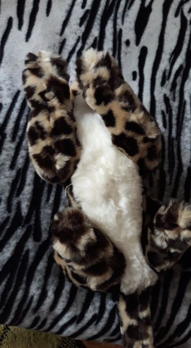 Играчка   Плюшена