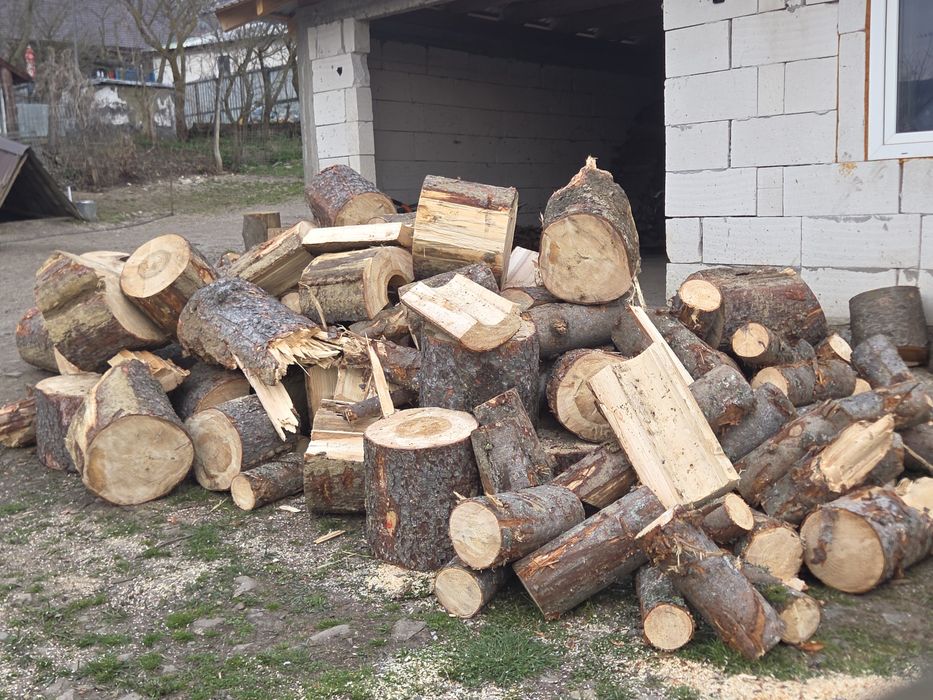 Lemn de foc molid !