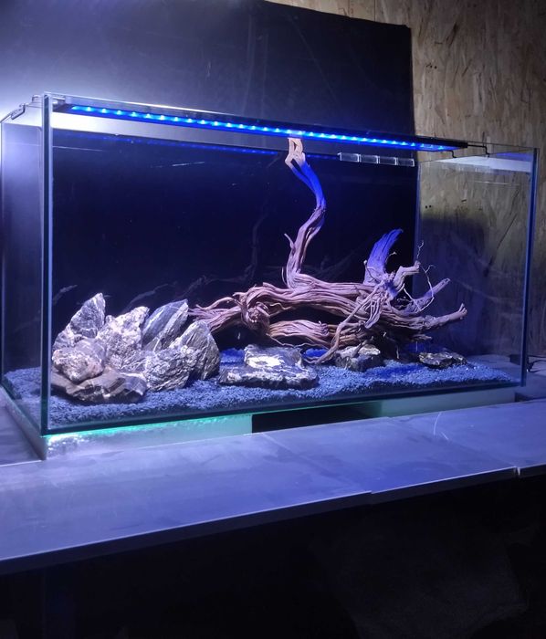 Аквариум с дизайном