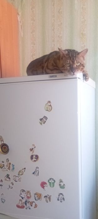 Продам 1 комнат квартира