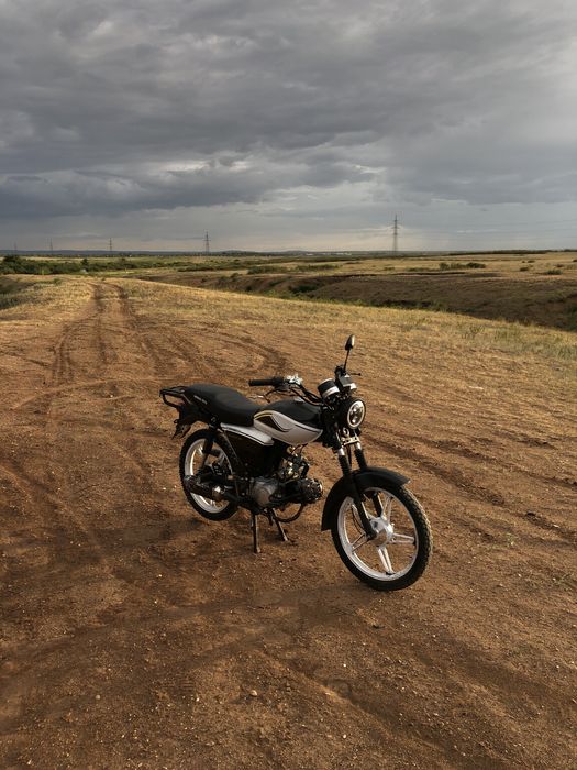 Alpha rx110.