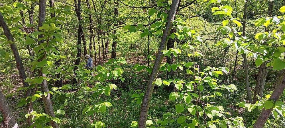 Панорамен имот срещу яз. Сопот – 2 950 кв.м + масивна къща