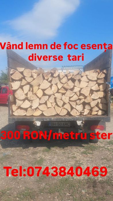 Lemne de foc esenta tare