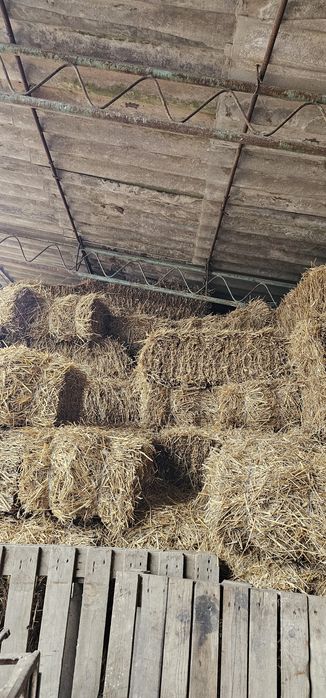 Vând balotii paie.Pret 12lei/bucată