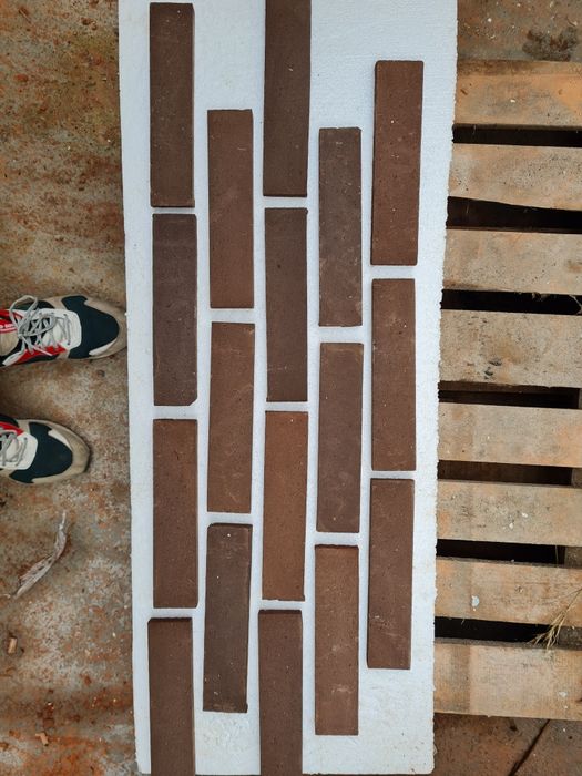 Caramida aparenta feliata Maro