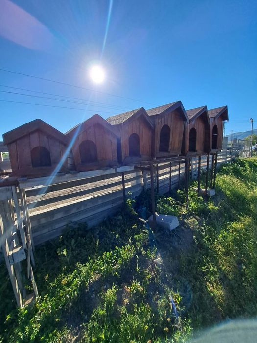 Къщички за кучета, домашни любимци