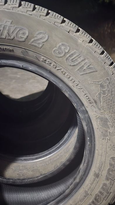 Шины зимние cardiant