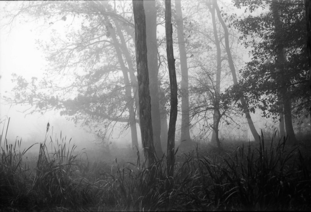 Film 35mm expirat, Vellokrom Ortholux