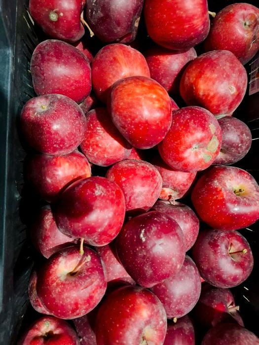 Яблоки высшего сорта!