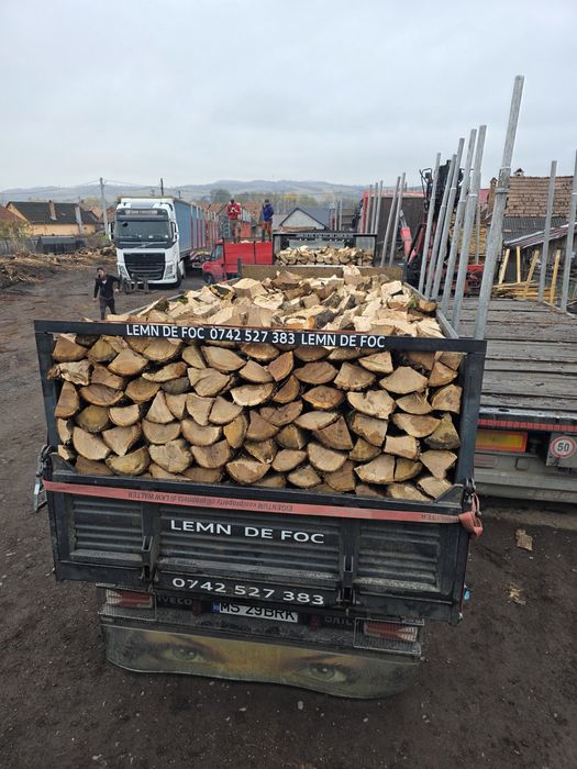 Lemn lemne de foc uscate esență tare