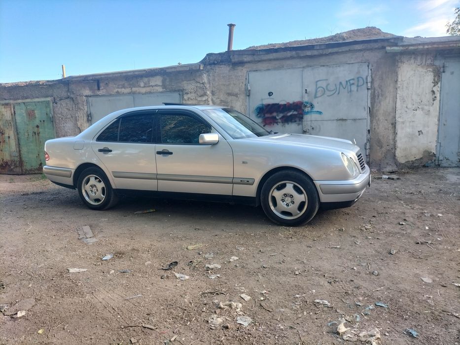 Продам живой Лупарик