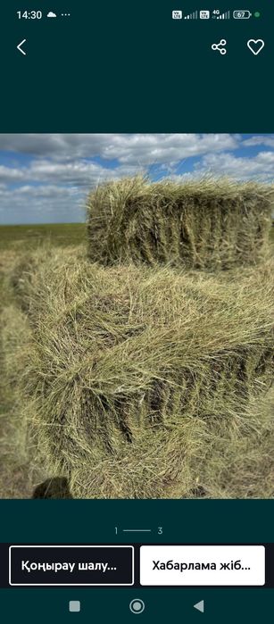 Шөп сатамын. Прес жоңышқа шөп аралас .Продам сено