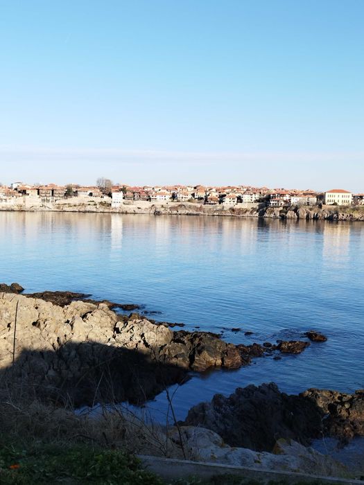 Самостоятелни стаи под наем