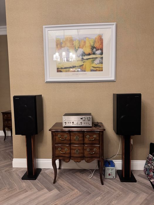 Акустика Diatone DS 66 EX