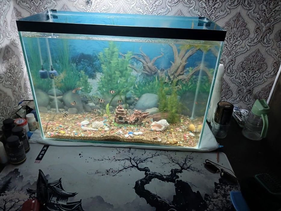 Аквариум сатылады